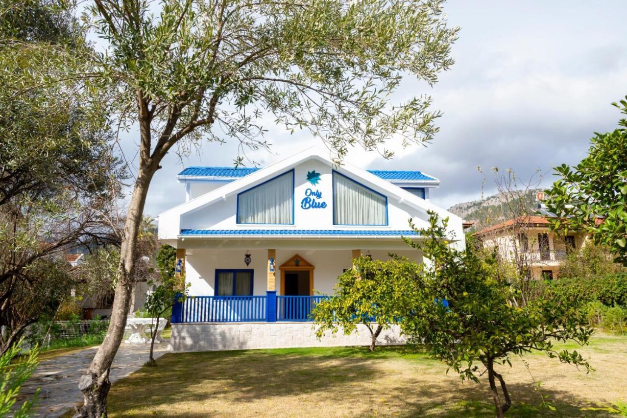 Only Blue Villa Гьоджек Екстер'єр фото