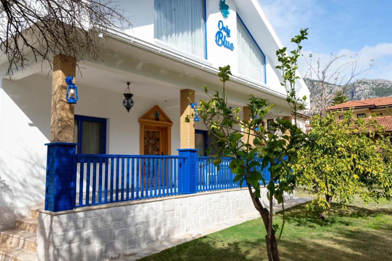 Only Blue Villa Гьоджек Екстер'єр фото