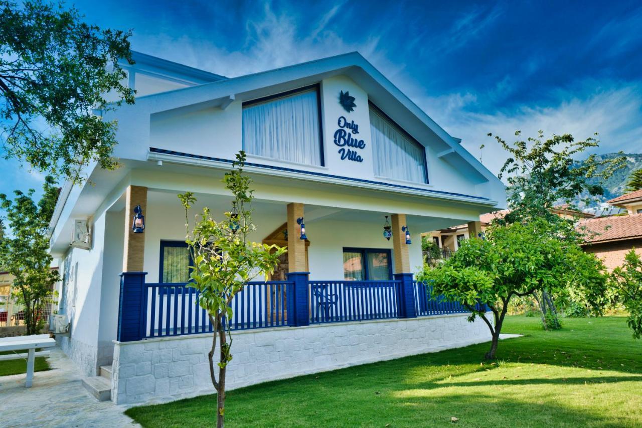 Only Blue Villa Гьоджек Екстер'єр фото