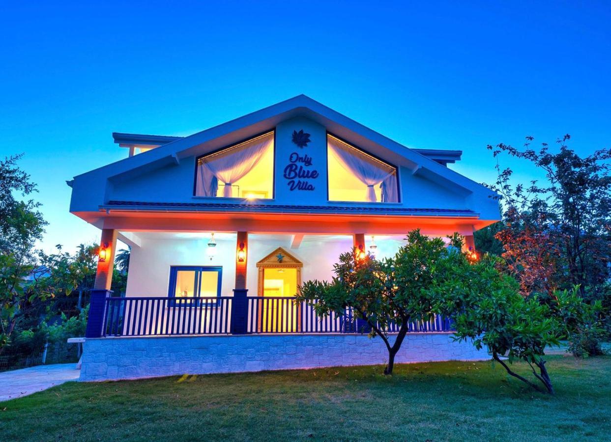 Only Blue Villa Гьоджек Екстер'єр фото