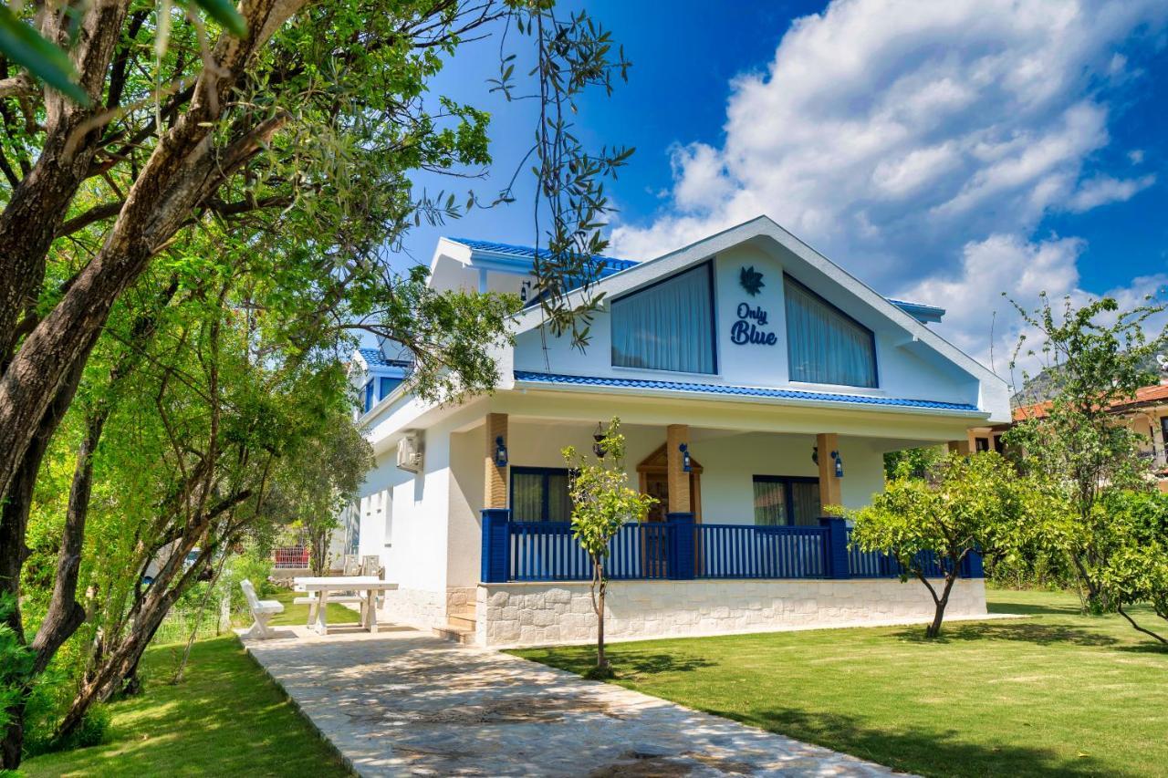 Only Blue Villa Гьоджек Екстер'єр фото