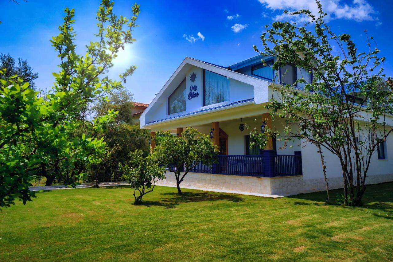 Only Blue Villa Гьоджек Екстер'єр фото