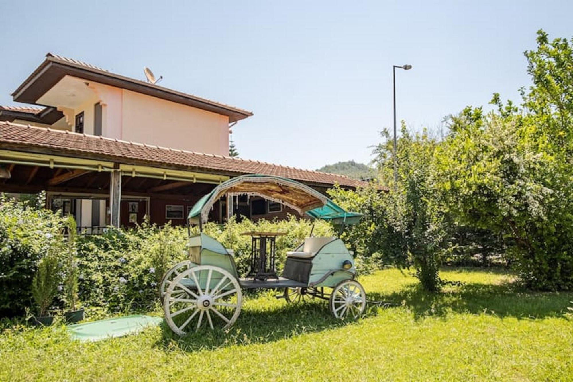 Only Blue Villa Гьоджек Екстер'єр фото